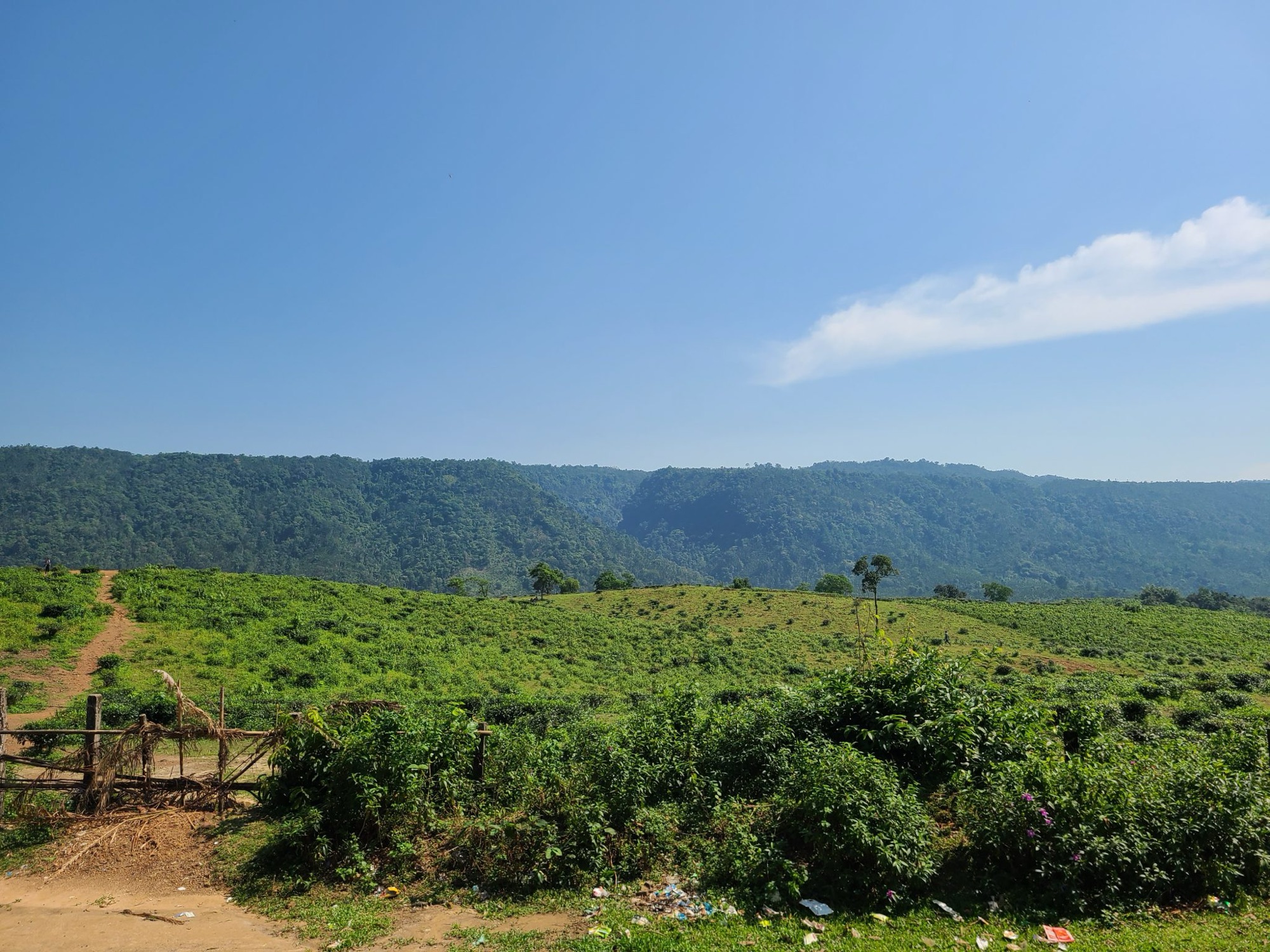 Green rolling hills under a clear blue sky