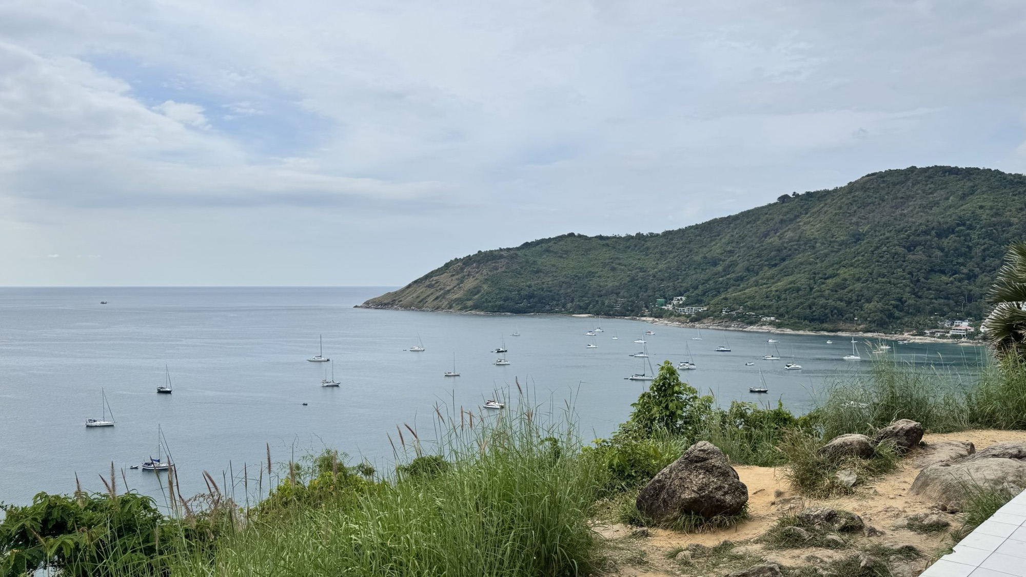 A green headland over a quiet bay